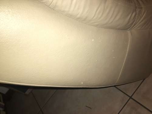 Leather fainting sofa couch