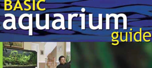 A Guide to setting up and maintaining a beautiful aquarium EBOOK