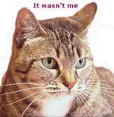 How to eliminate Cat Urine EBOOK
