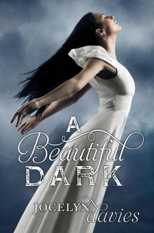 A Beautiful Dark Series 1 - 3 by Jocelyn Davies