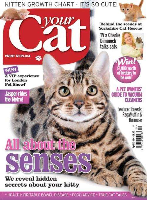 Your-Cat-Magazine-April-2014 MAGAZINE EBOOK