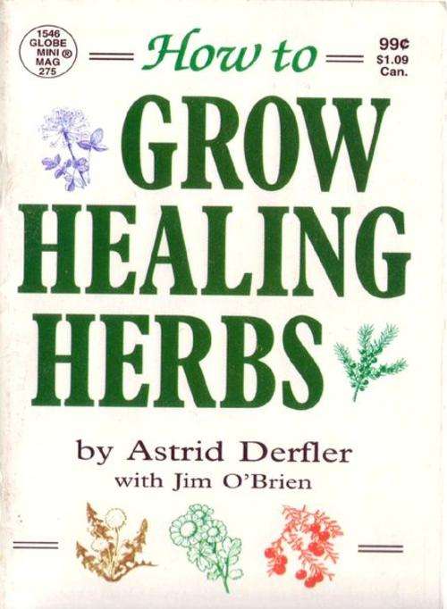 How-To-Grow-Healing-Herbs EBOOK