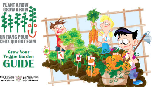 Grow Your Veggie Garden Guide EBOOK