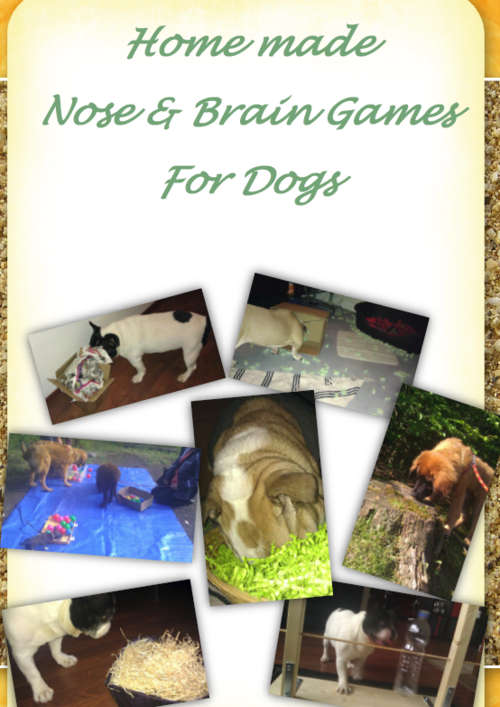 Home Made Nose and Brain Games for Dogs EBOOK