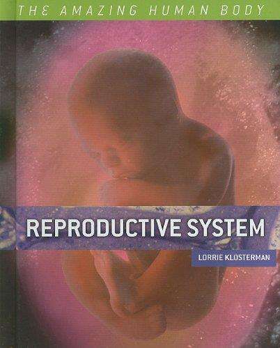 Reproductive System (The Amazing Human Body) EBOOK