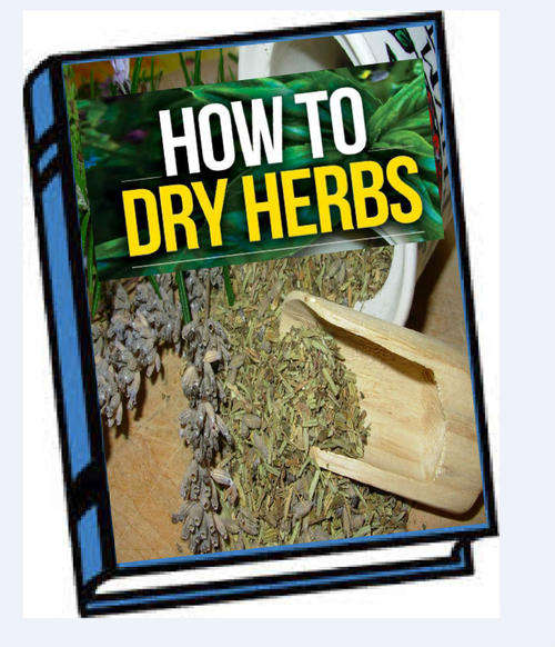 How To Dry Herbs EBOOK