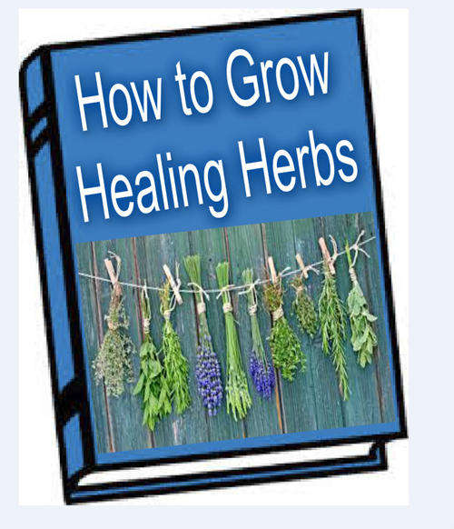 How To Grow Healing Herbs EBOOK