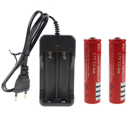 2 x 18650 Li-ion Rechargeable Batteries + Charger SPECIAL!!!