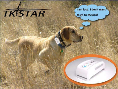 The Latest in PET & Personal GPS Tracker  Security