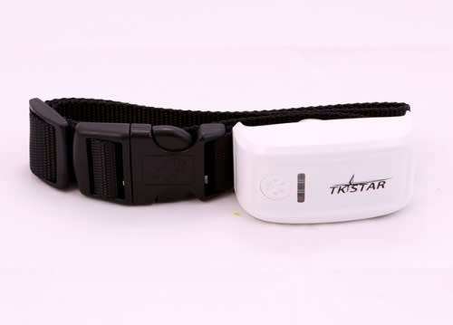 The Latest in PET & Personal GPS Tracker  Security