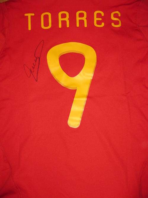 Fernando Torres signed Spain World Cup home shirt WOW