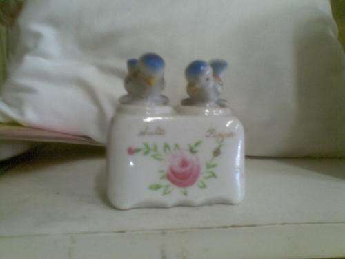 Salt and Pepper Birds