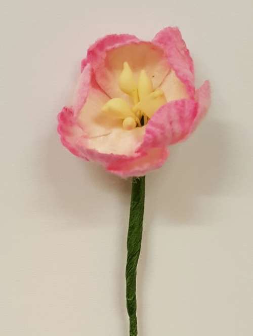 CFlower 8p - Pink