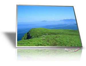 HP Pavilion DV4000 DV5000 DV6000 15.4" WXGA LED SCREEN *No scratch on screen*
