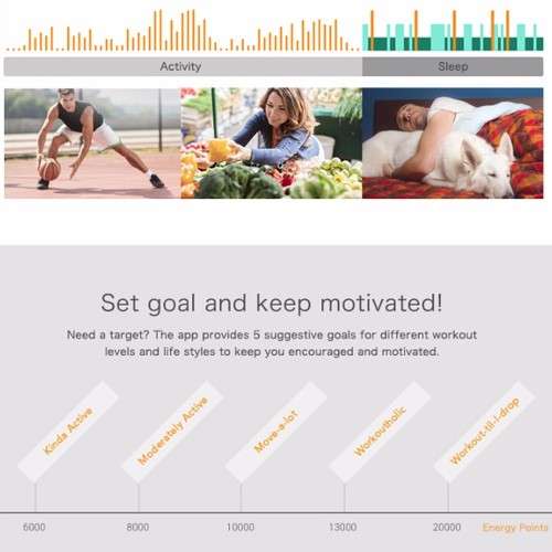 Heart rate monitor