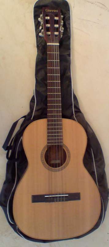 Guitar Bass Giannini nylon string mod AWN 50 SER 04 73 ACOUSTIC guitar made in brazil was sold for 1 695.00 on 20 Jul at 13 00 by Designcrazy in Cape Town ID 14375307