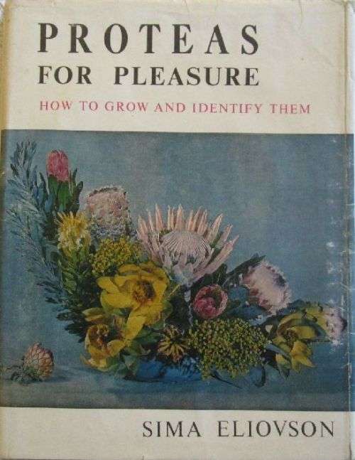 Proteas for Pleasure - Sima Eliovson