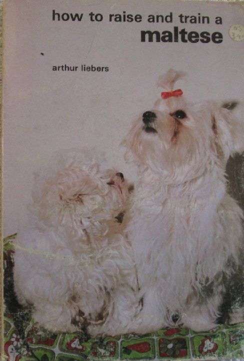 How to Raise and Train a Maltese - Arthur Liebers