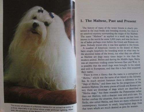 How to Raise and Train a Maltese - Arthur Liebers