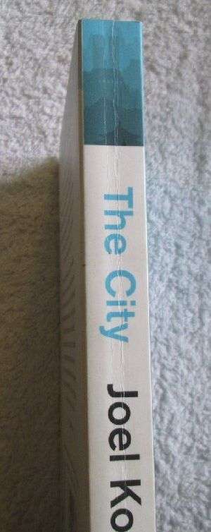 The City -  A Global History - Joel Kotkin
