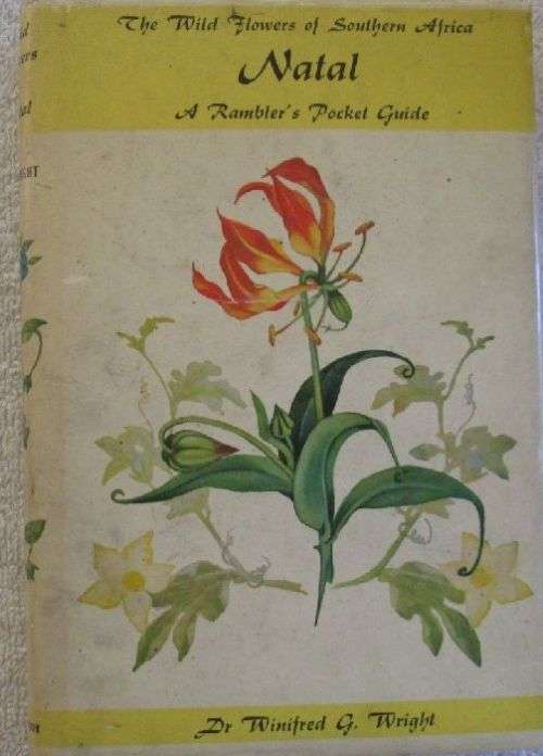 The Wild Flowers of Southern Africa - Natal - A Rambler's Pocket Guide Dr. Winifred G. Wright