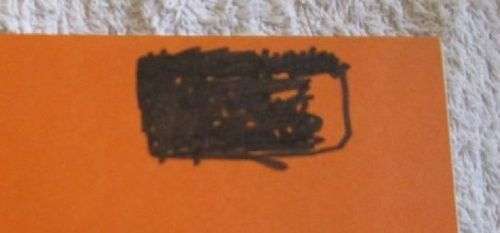 African Insect Life - S.H. Skaife and A. Bannister - Hardcover - 279 pages
