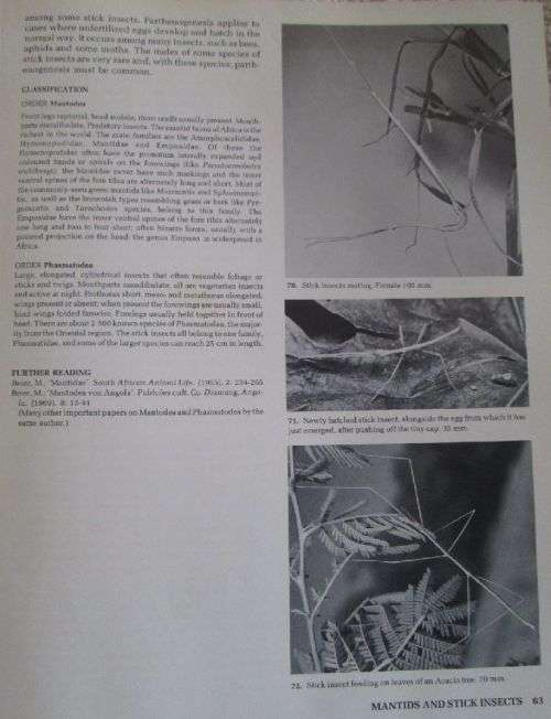 African Insect Life - S.H. Skaife and A. Bannister - Hardcover - 279 pages
