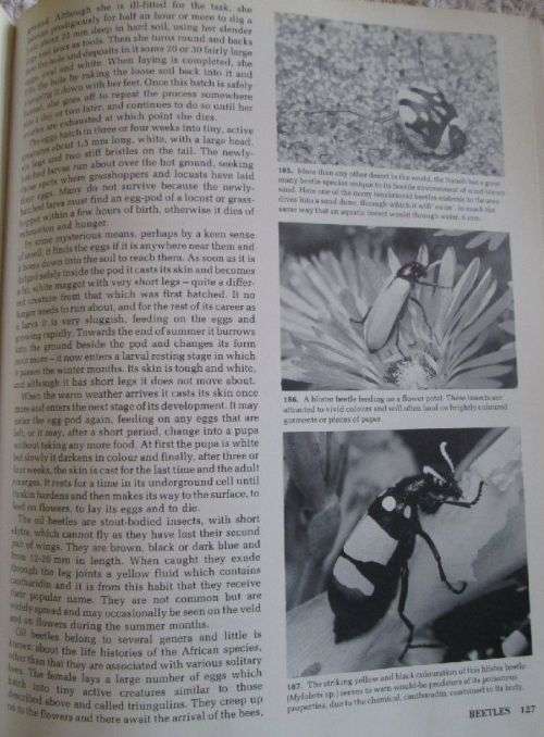 African Insect Life - S.H. Skaife and A. Bannister - Hardcover - 279 pages