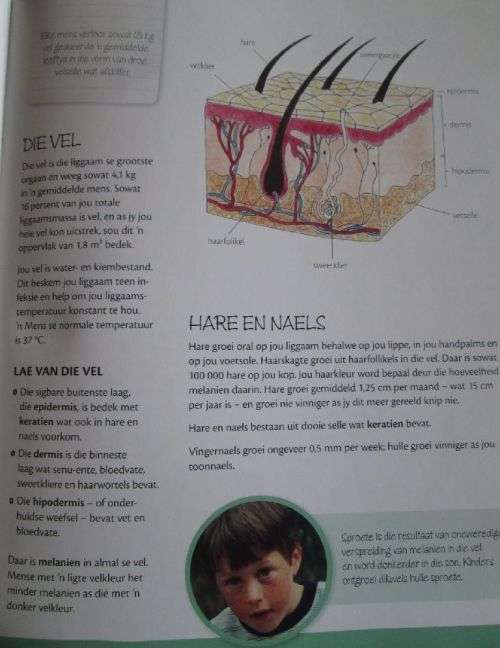 Feiteboek - n Kennis-Skatkis vir 8 tot 12-Jariges - Helen Lewis