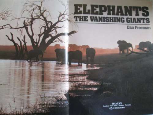 Elephants - The Vanishing Giants - Dan Freeman
