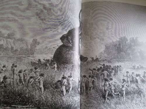Elephants - The Vanishing Giants - Dan Freeman