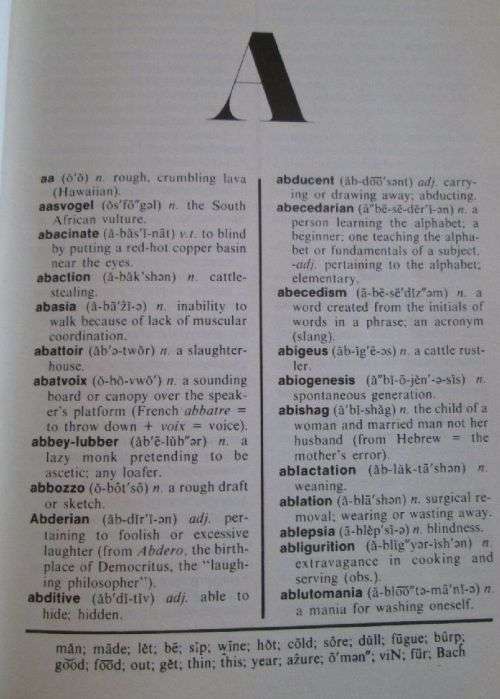 Mrs. Byrne's Dictionary of Unusual, Obscure and Preposterous Words