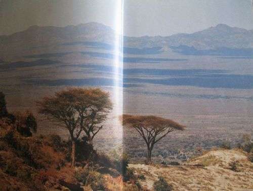 The Book of Kenya - Photographs by Gerald Cubitt Text by Eric Robins