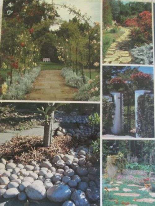 Garden Design for Southern Africa - Sima Eliovson - Hardcover