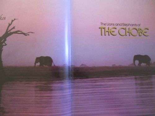 The Lions and Elephants of the Chobe - Bruce Aiken