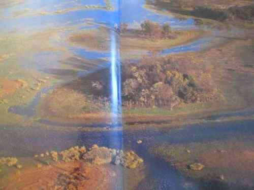 The Lions and Elephants of the Chobe - Bruce Aiken