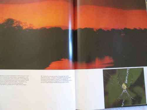 The Lions and Elephants of the Chobe - Bruce Aiken