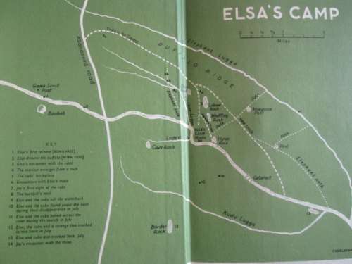 Living Free - The Story of Elsa and Her Cubs - Joy Adamson