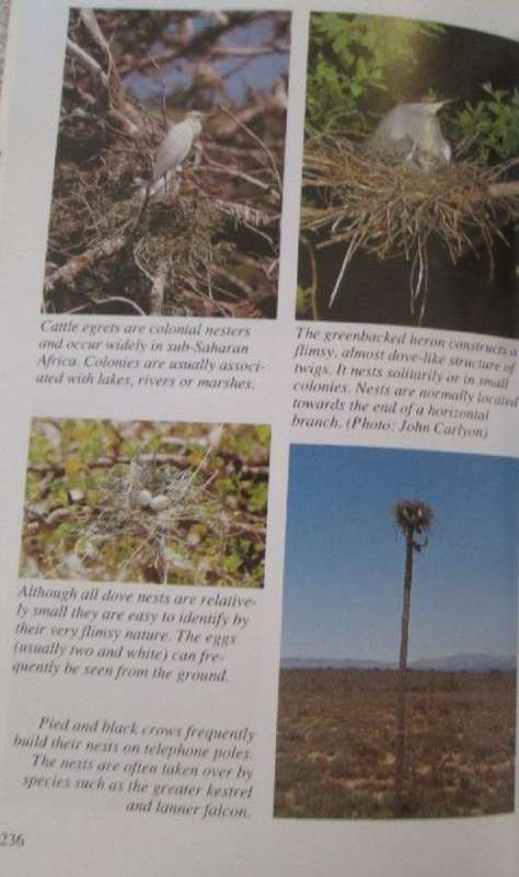 A Field Guide to the Tracks and Signs of Southern and East African Wildlife - Chris & Tilde Stuart