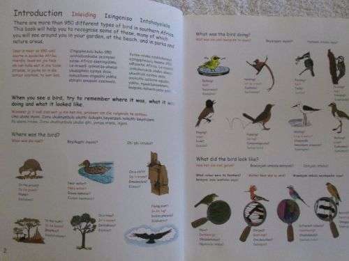 My First Book of South African Birds - Erroll Cuthbert Illustrated by Jennifer Schaum