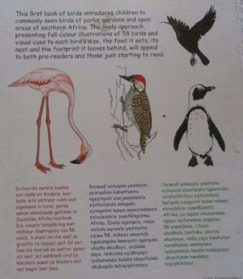 My First Book of South African Birds - Erroll Cuthbert Illustrated by Jennifer Schaum