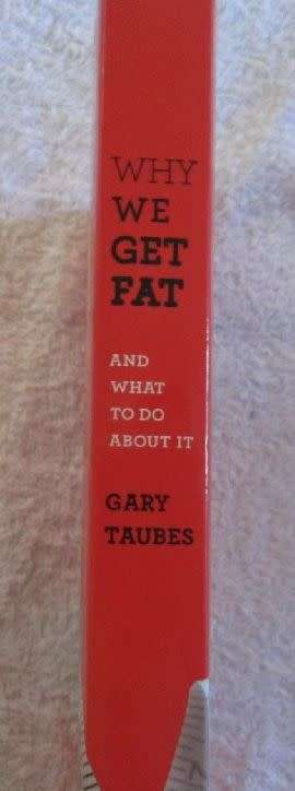 Why We Get Fat and What to do About It - Gary Taubes