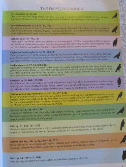 The Raptor Guide of Southern Africa - Ulrich Oberprieler & Burger Cillie