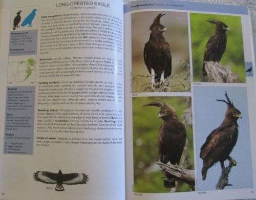 The Raptor Guide of Southern Africa - Ulrich Oberprieler & Burger Cillie