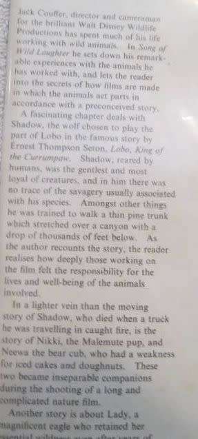 Song of Wild Laughter - Jack Couffer - Hardcover - 174 pages