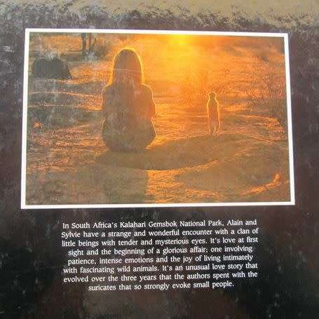 Meerkat Valley - Alain Degre and Sylvie Robert - Hardcover - 126 pages