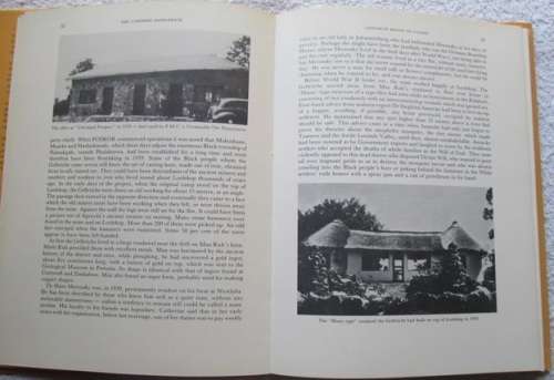 The Vanished Saddleback - The Story Of Phalaborwa - J. F. Grewer