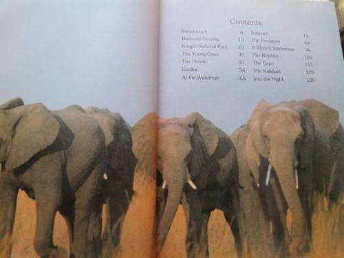 Wildlife of South Africa - David Steele - Hardcover - 152 pages