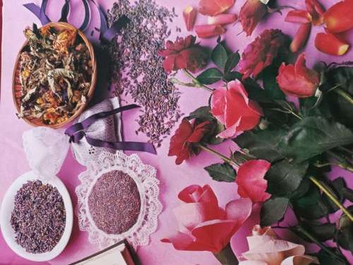 Flower Craft - Cavendish House - Hardcover - 88 pages