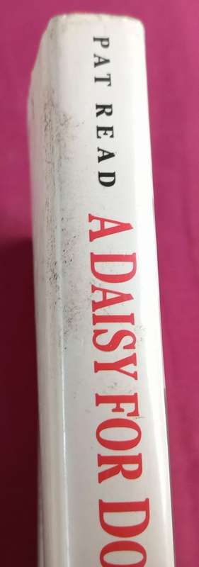 A Daisy for Dorothy - Pat Read -  A Love Story of a Family in Wartime - Hardcover - 224 pages